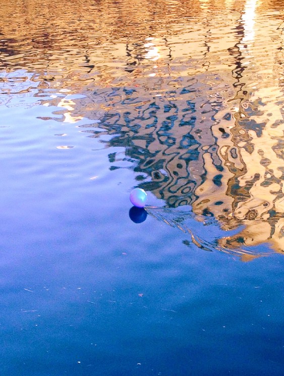 Iphone Februar 2015 005